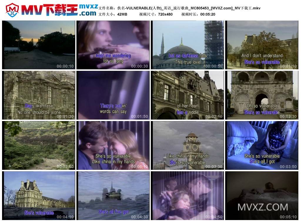 佚名-VULNERABLE(人物)_英语_流行歌曲_MC805453